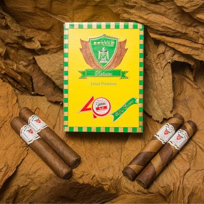 Cigarros Brevas Robustos x10 artesanales - Cigarros Brevas
